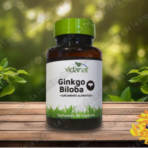 Ginkgo Biloba. 90 Cáps Vidanat.